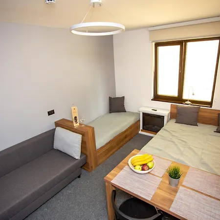 Ramonda Bela Reka 50m From Gondola - Free Parking Acces